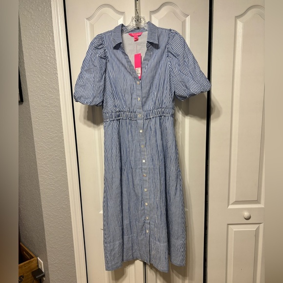 NWT Lilly Pulitzer Tassie Midi Dress Oxford Stripe Coastal Blue Size 6 - Picture 5 of 14